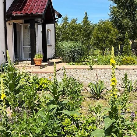 Pokoje Goscinne Neptunia Русиново Экстерьер фото